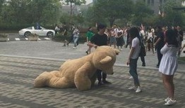 一头大熊爆料视频,独家爆料背后的惊人真相