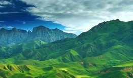 抖音爆料风景视频大全最新